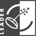 Leader